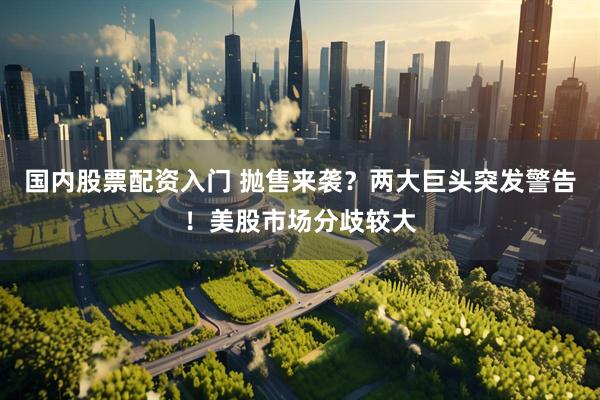 国内股票配资入门 抛售来袭？两大巨头突发警告！美股市场分歧较大
