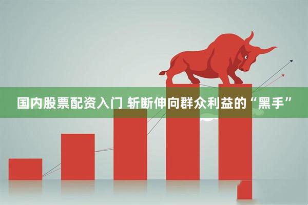 国内股票配资入门 斩断伸向群众利益的“黑手”