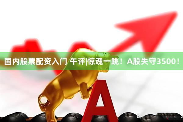 国内股票配资入门 午评|惊魂一跳！A股失守3500！