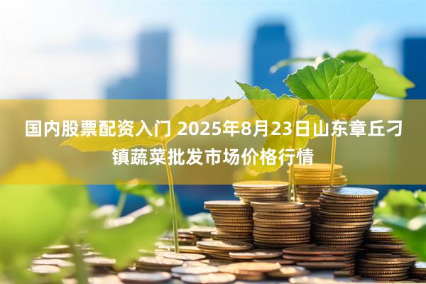 国内股票配资入门 2025年8月23日山东章丘刁镇蔬菜批发市场价格行情